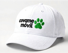 Gorra Económica Ajustable